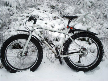 Pugsley in the snow